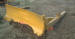 CAT D4 7U ANGLE BLADE.JPG