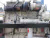 cat eng 003.jpg